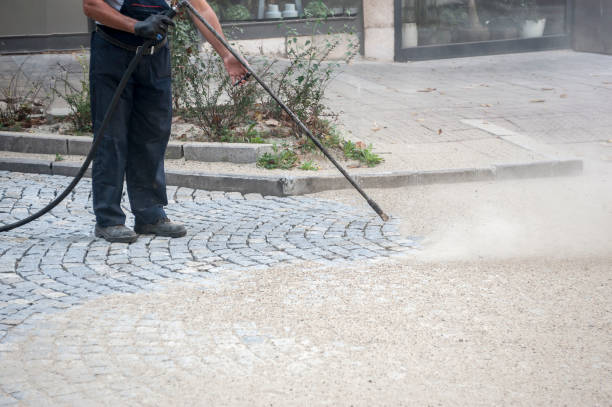 Best Sidewalk and Walkway Cleaning  in Shannon, MS
