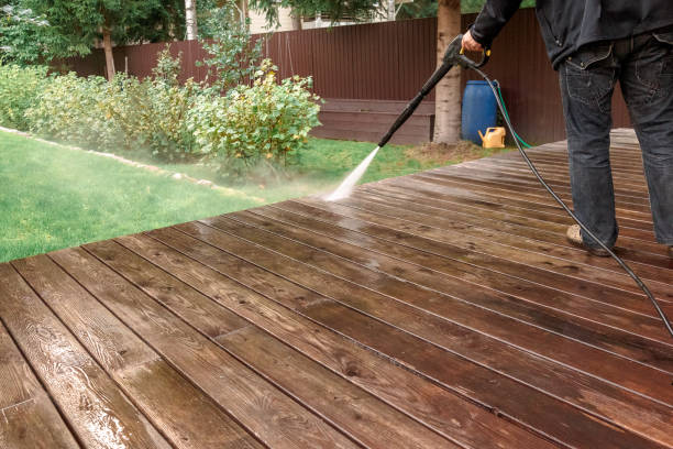 Best Building Exterior Washing  in Shannon, MS